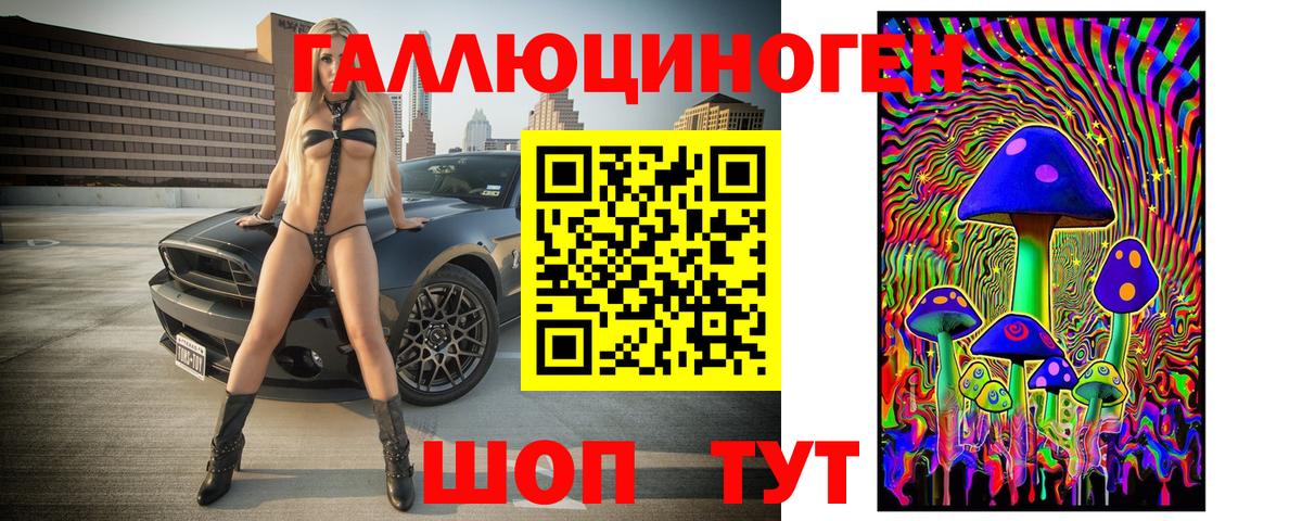 Галлюциногенные грибы Cubensis  Вход с VPN  Вязники  Галлюциногенные грибы Psilocybine cubensis 