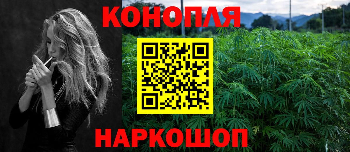 Бошки Шишки конопля  Каннабис Bruce Banner  Вход с VPN  Вязники 